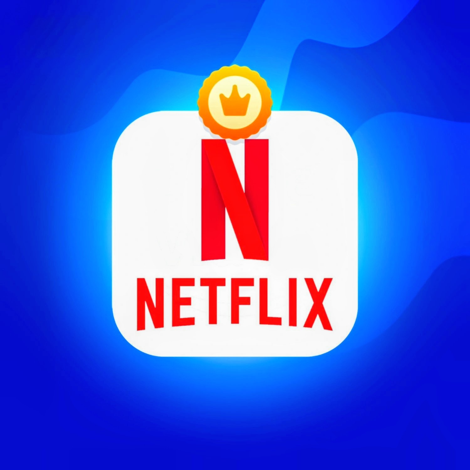 Netflix Subscription