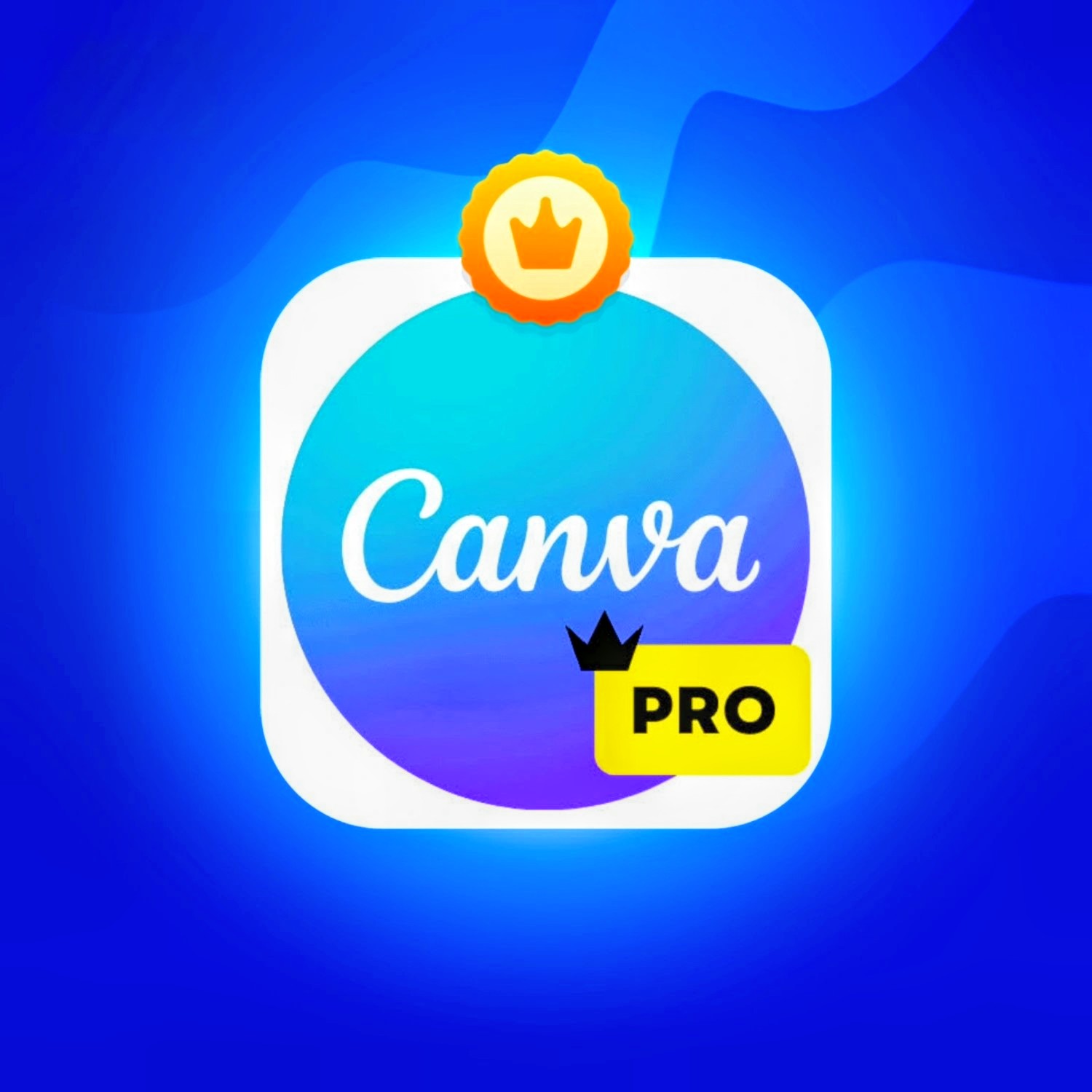 Canva Pro