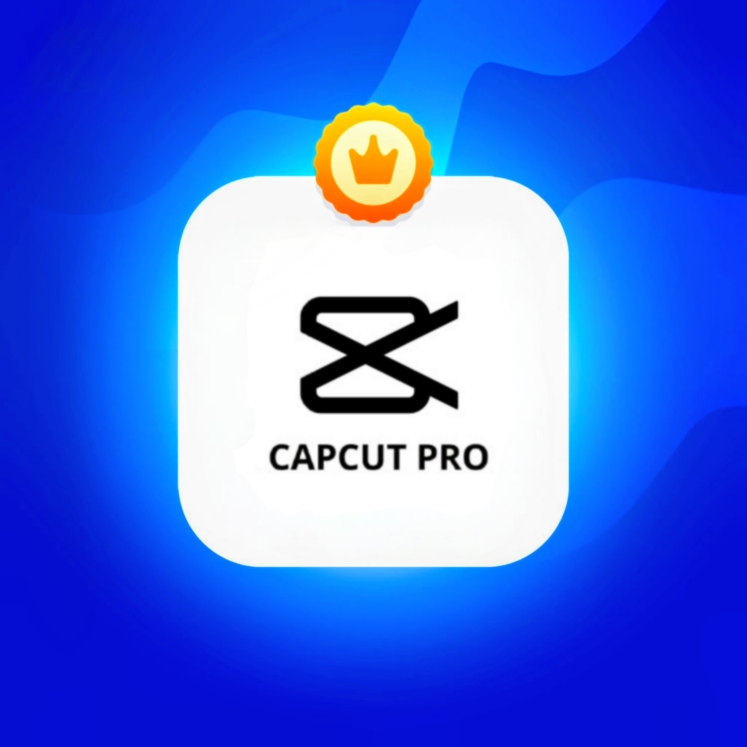 CapCut Pro