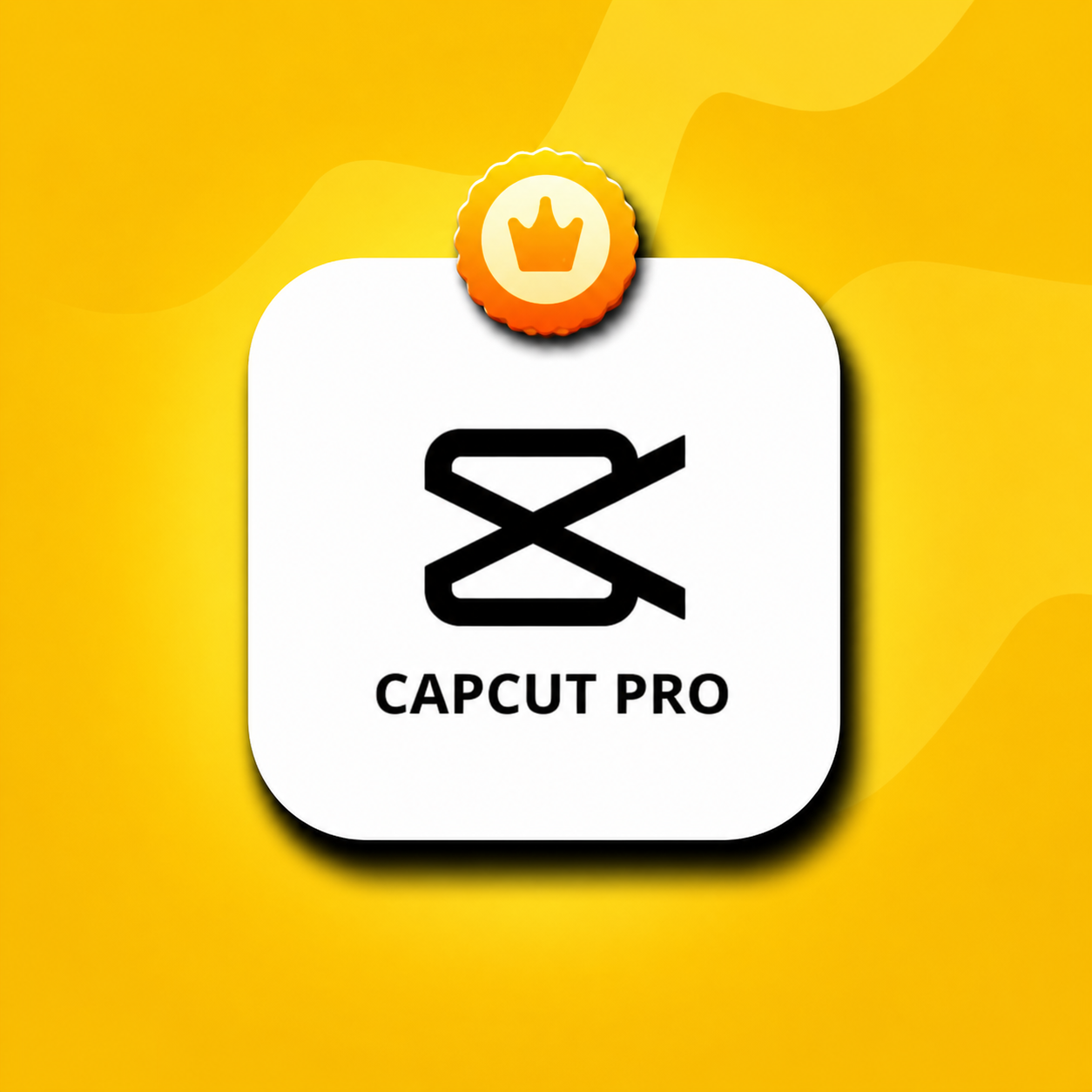CapCut Pro